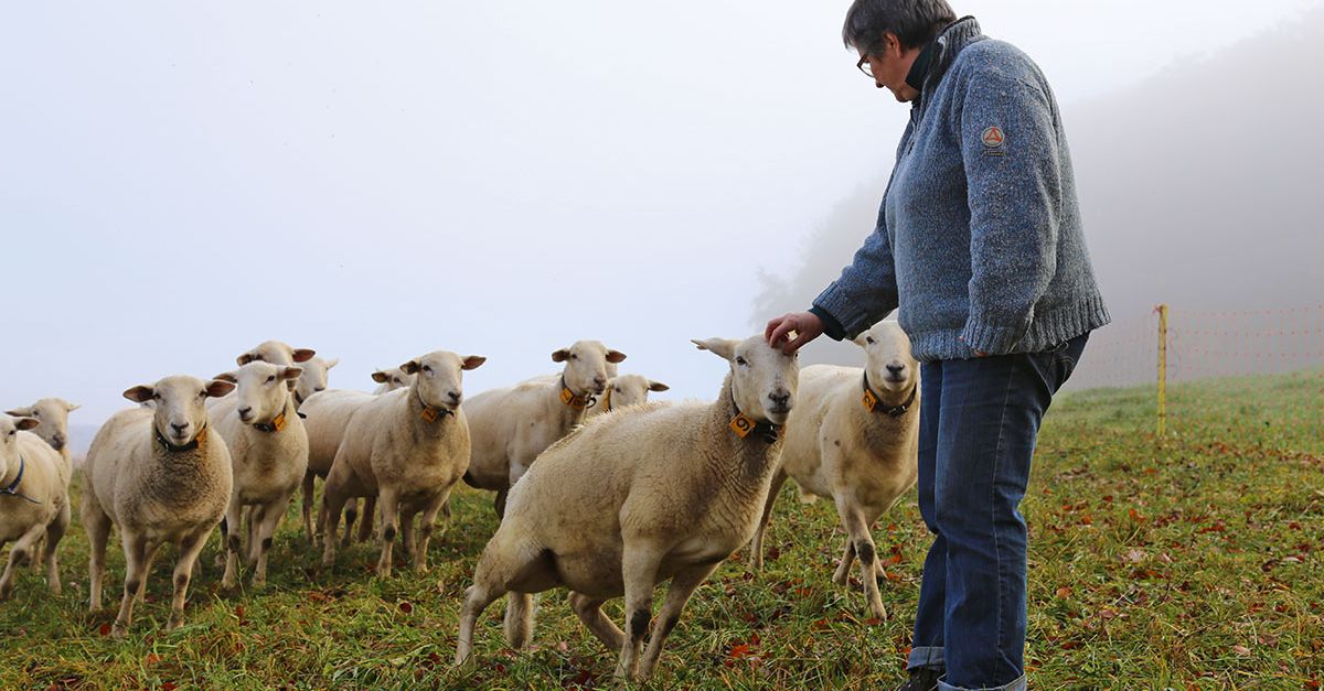 Agro Treuhand R Tti Ag Einkommen Aufteilen